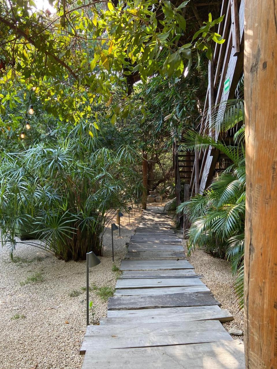 Amor Rooms Tulum Pueblo Buitenkant foto