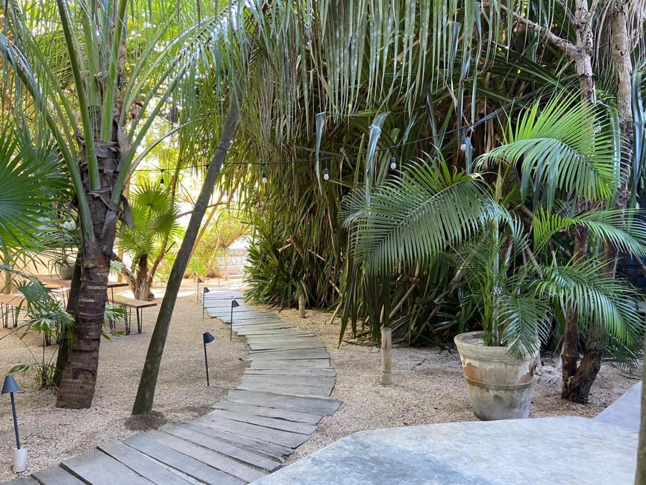 Amor Rooms Tulum Pueblo Buitenkant foto