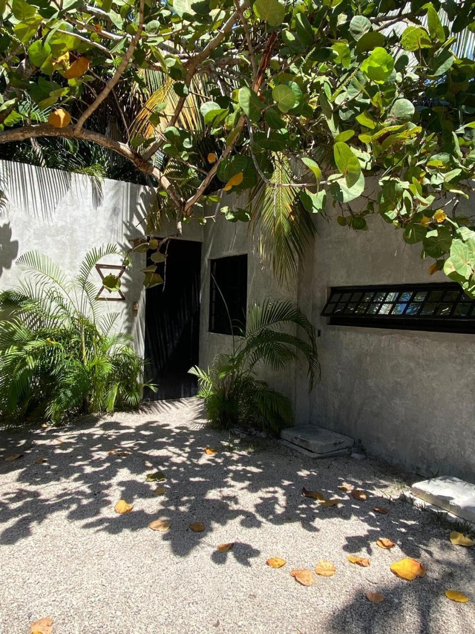 Amor Rooms Tulum Pueblo Buitenkant foto